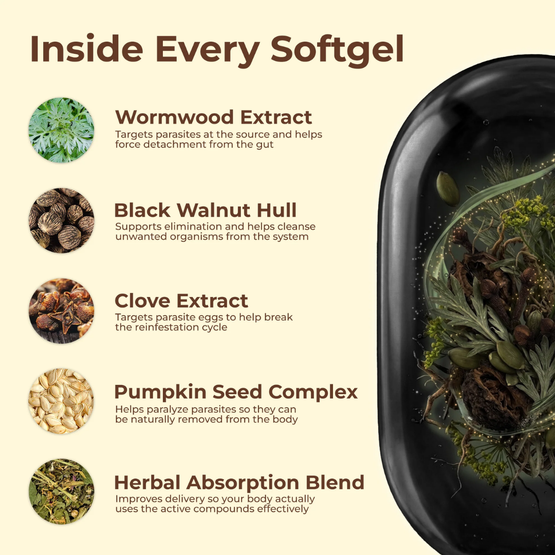 Wormwood Black Walnut – Natural Parasite Balance Reset