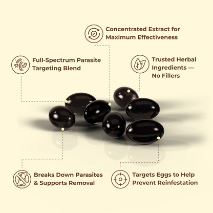 Wormwood Black Walnut – Natural Parasite Balance Reset